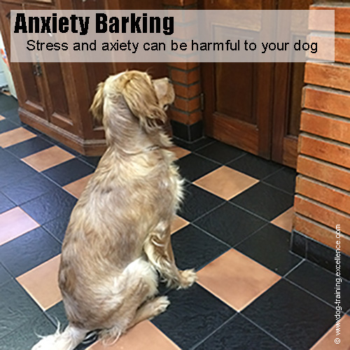 dog barking stop bark anxiety ultimate guide excellence training