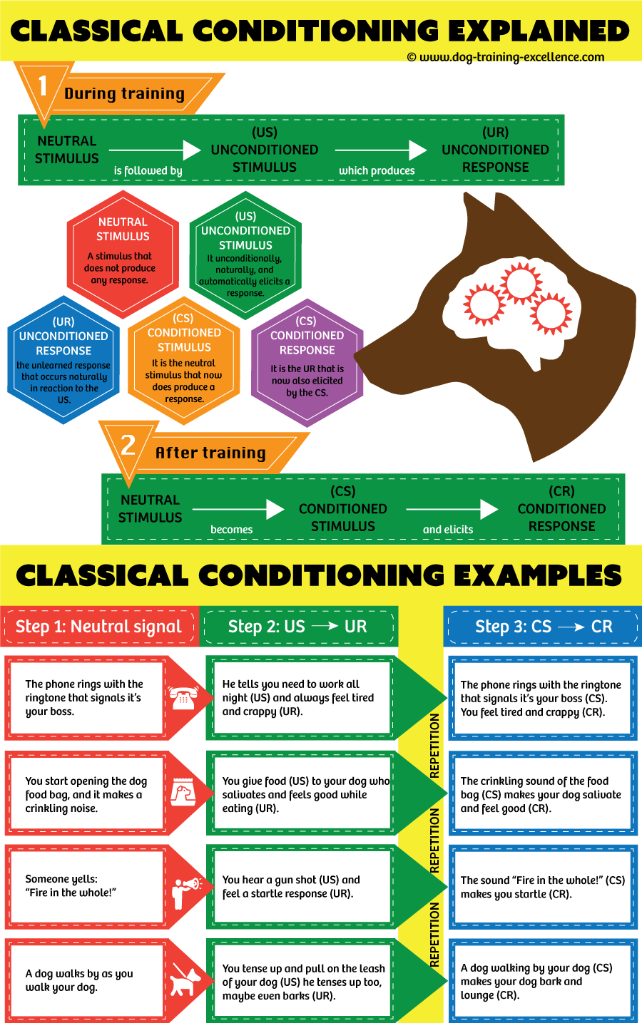 Classical Conditioning: a basic form of learning.