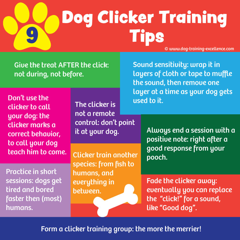 clicker training