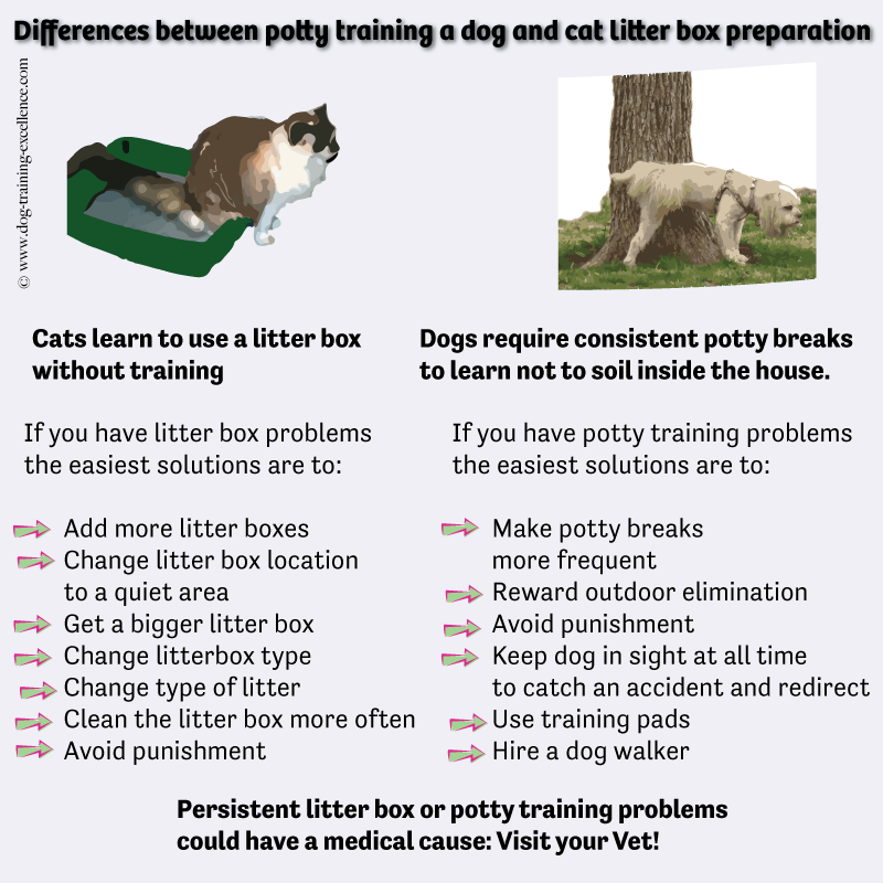 Difference Between Dogs and Cats That Can Help in a MultiSpecies