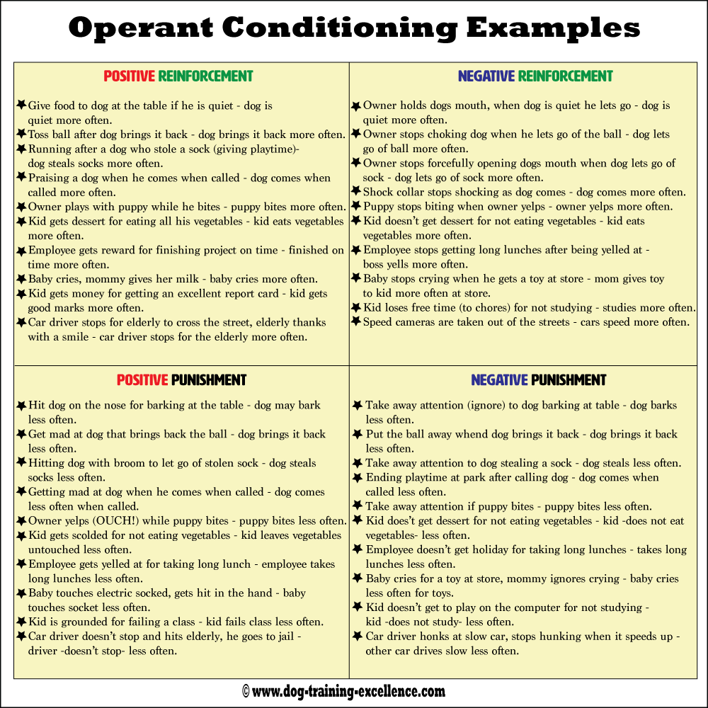 Understanding the classical conditioning and operant conditioning