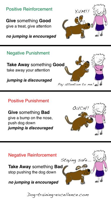 What is operant conditioning?