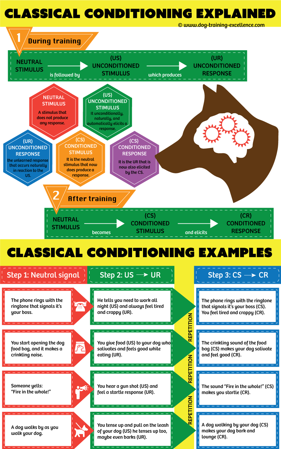 Learn classical conditioning through examples and how to apply it in dog training. 