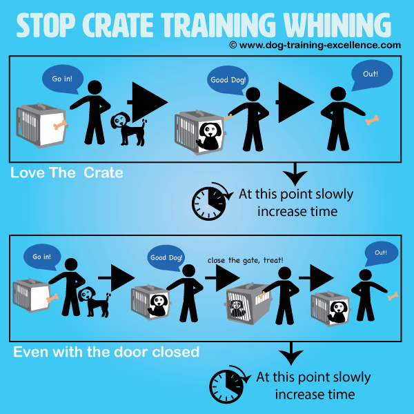 Stop crate training whining with positive training methods! This guide will help you prevent whining and how to teach your dog not to cry and bark while on his crate. 