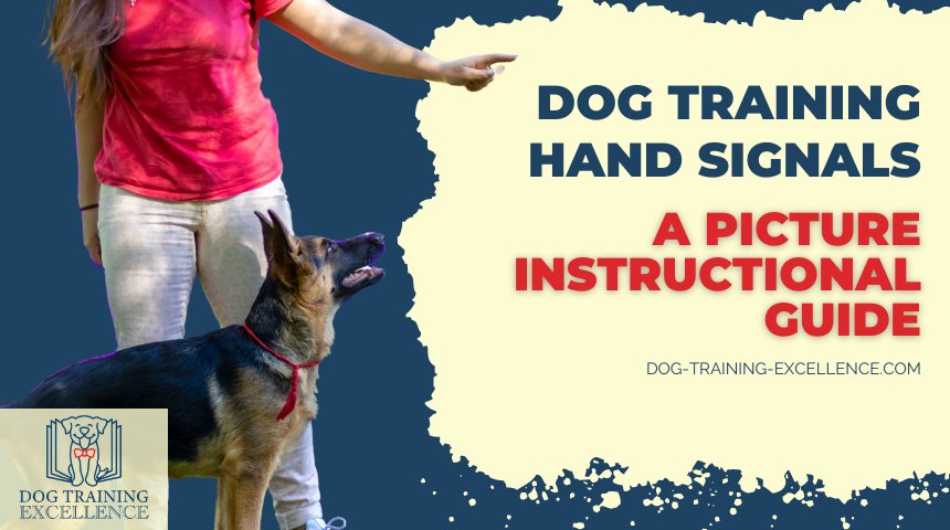 Learn how to teach dog training hand signals to your pet in an easy to follow picture guide. Plus download a free chart of hand signals for dogs!