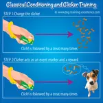 clicker training infographic classical conditioning