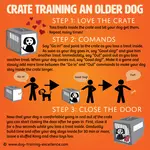 Crate training an older dog is easy with positive methods. Adult dogs take a little longer to learn that the crate is a safe place to relax and this step-by-step guide will help you along the way. 