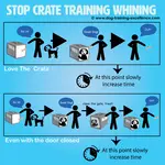 Stop crate training whining with positive training methods! This guide will help you prevent whining and how to teach your dog not to cry and bark while on his crate. 