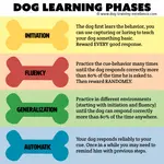 Attention, Pet Owners! The Game-Changing Secret to a Reliable Dog Training Command, learn our fail-proof recipe.