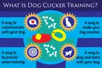 what is dog clicker training infographic