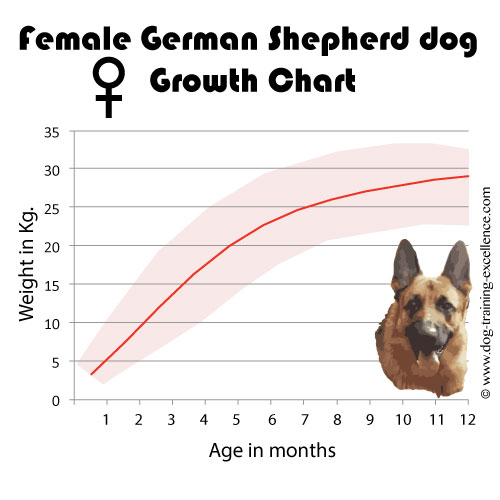 German Shepherd Growth Chart Pounds