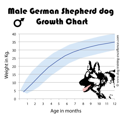 German Shepherd Growth Chart Pounds