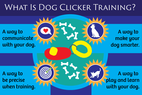 what is dog clicker training infographic