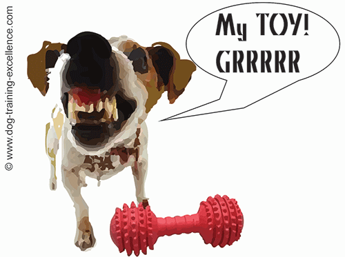 toy aggression guarding