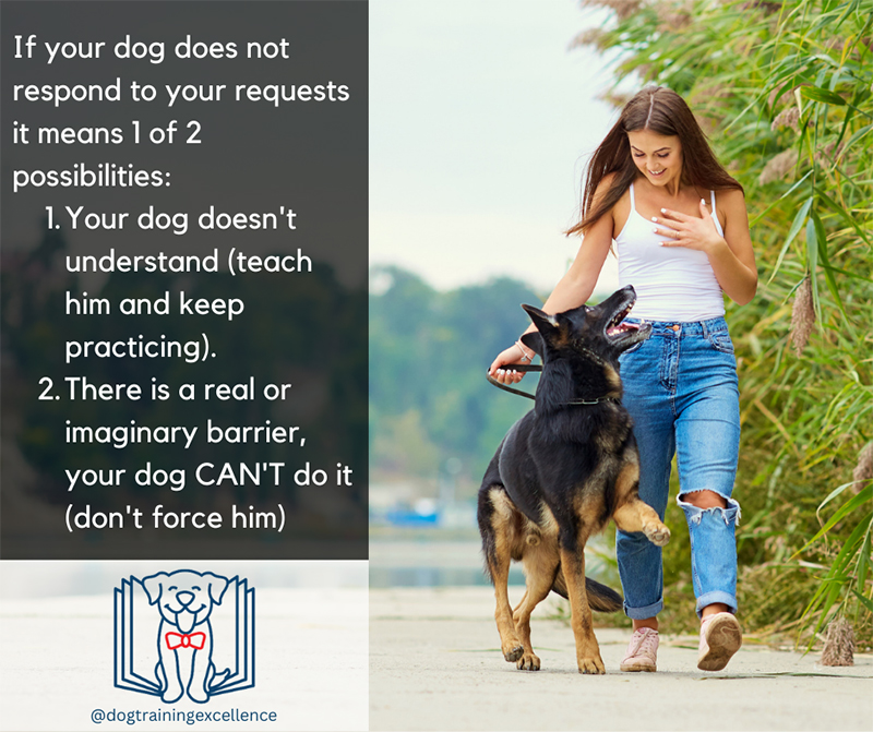 if dog does not respons 2 reason
