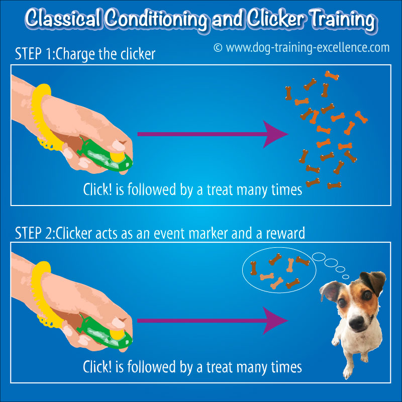 clicker training infographic classical conditioning