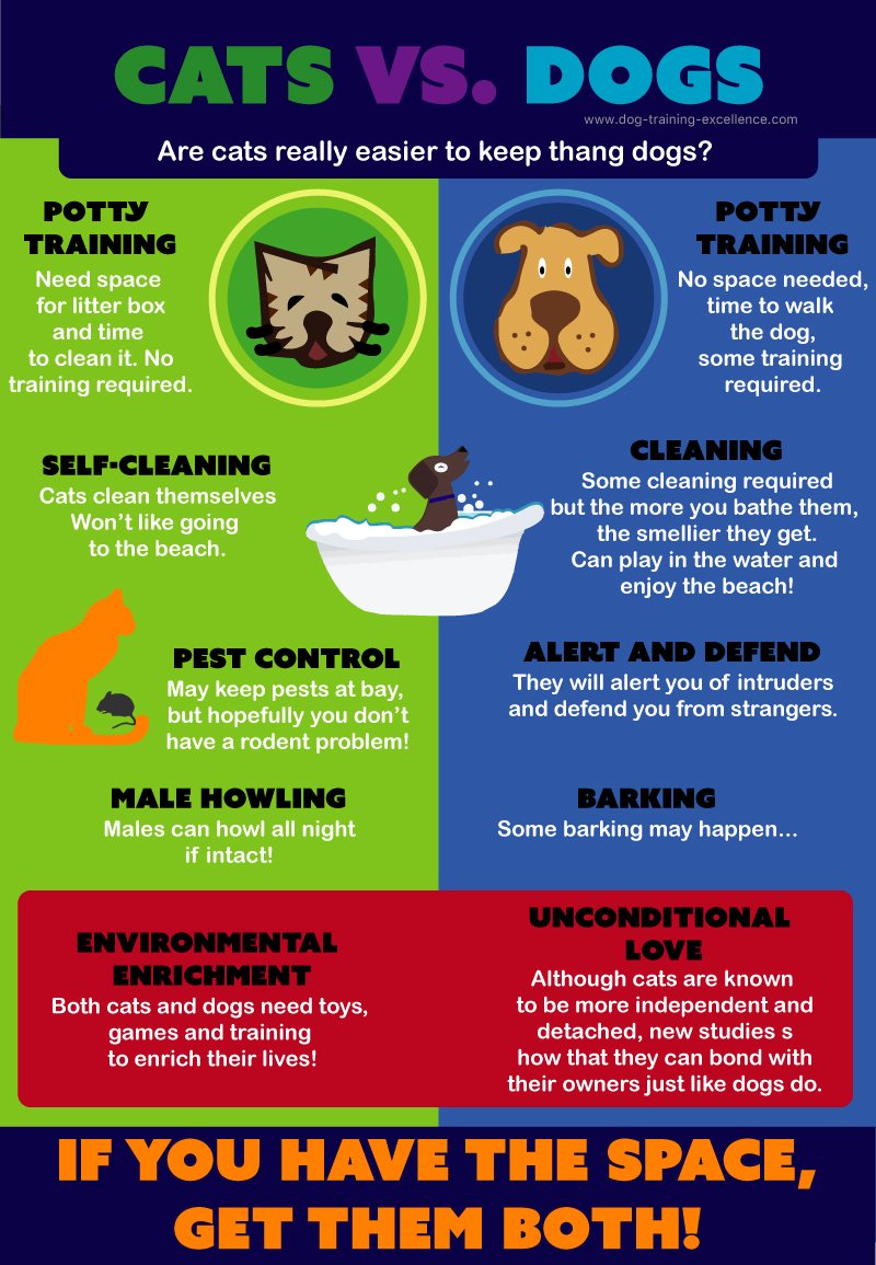 cats vs dogs infographic