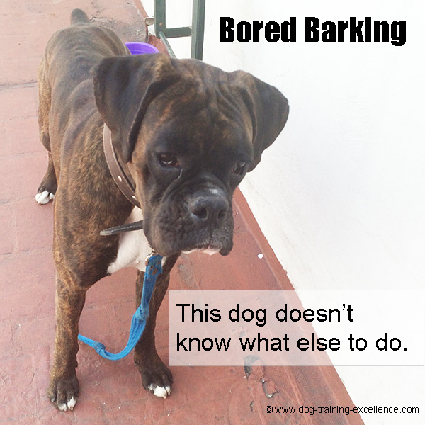 How to Stop Dog Barking The Ultimate Guide