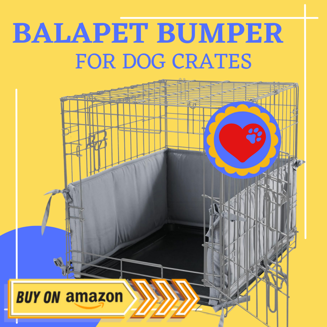 Balapet bumper for crate review