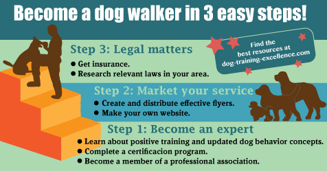 what do i need to set up a dog walking business