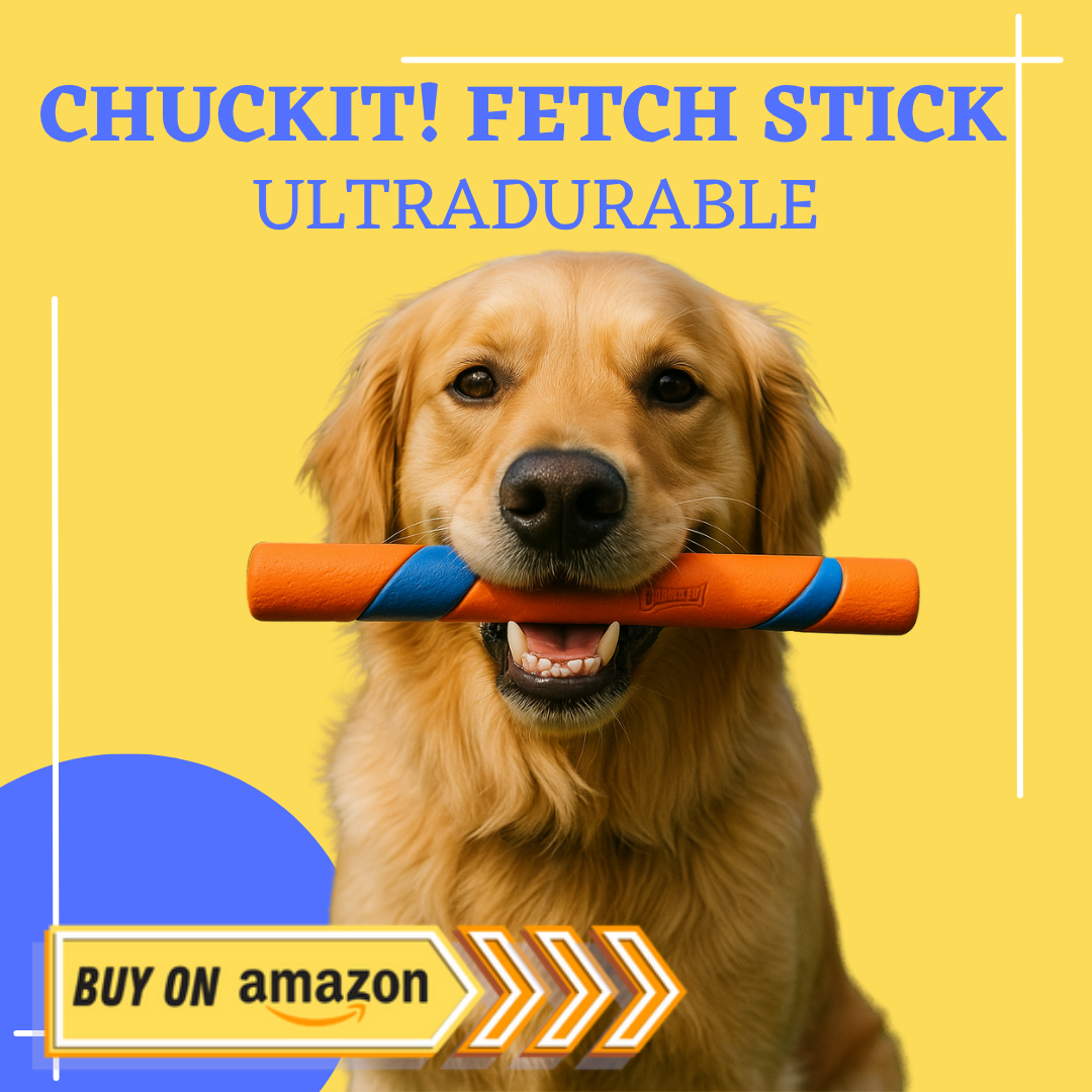 Best dog toys, dog training