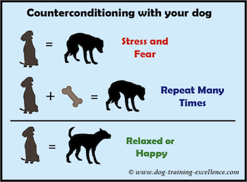 counterconditioning with your dog