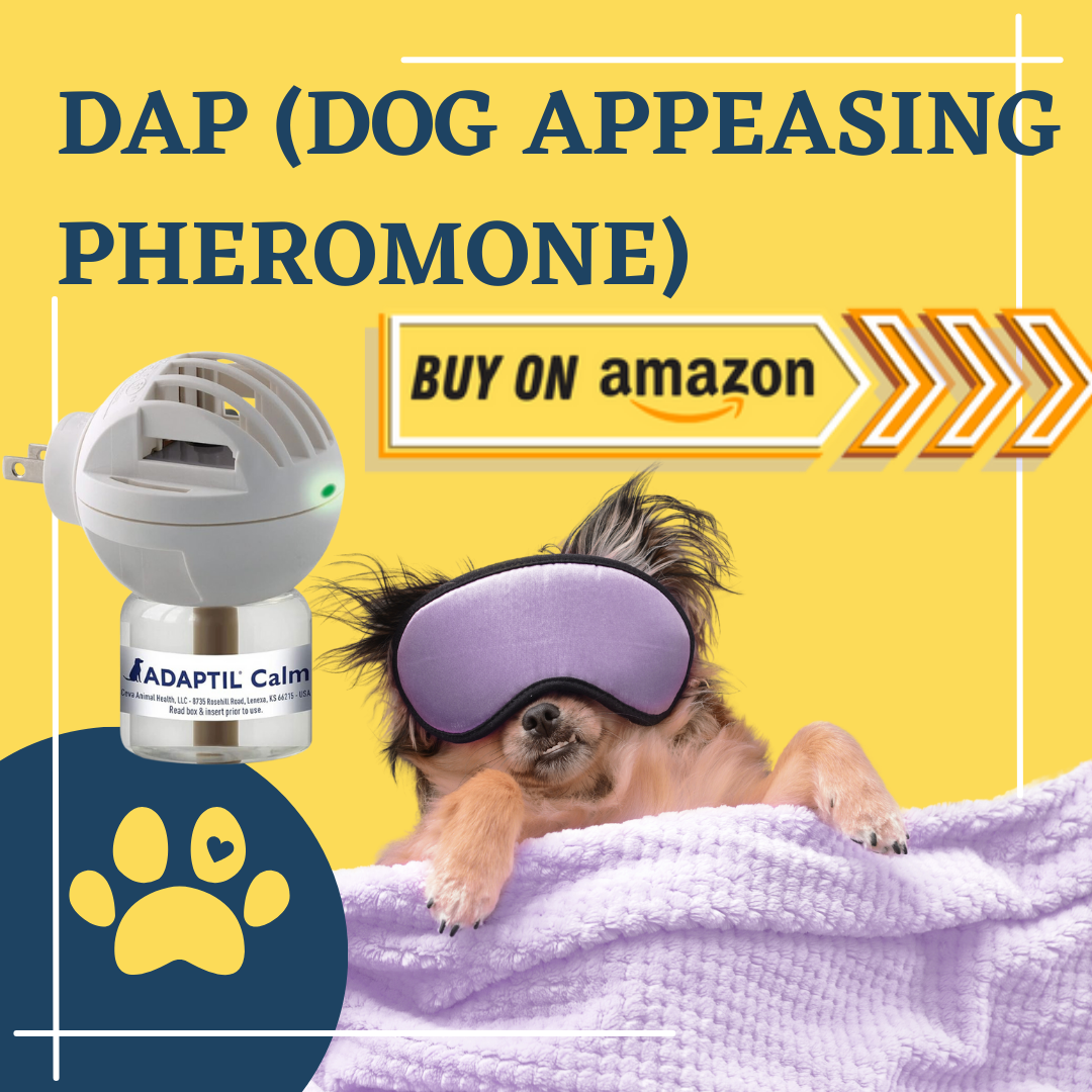 DAP for dogs review
