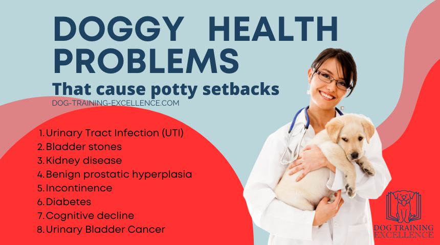 health problems that cause potty problems, Medical Causes of House Soiling in Dogs