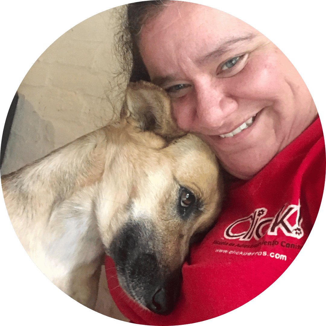 dog training hand signals, dog trainer tips