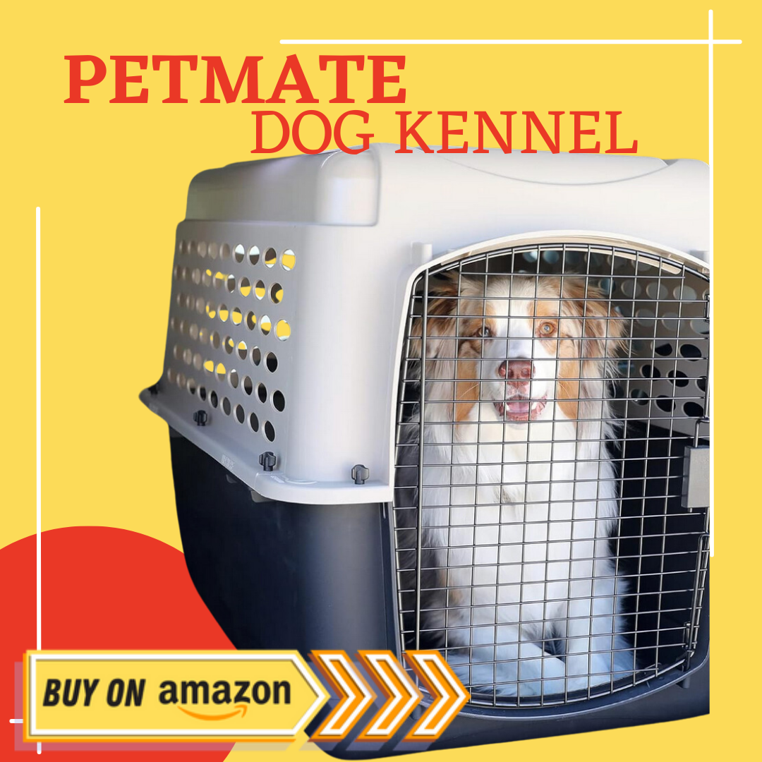 Petmate dog crate review