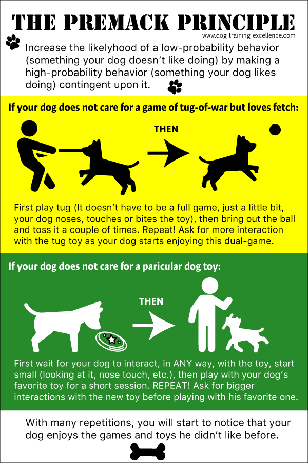 Premack principle infographic, best dog toys, dog training