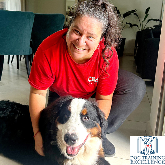 professional dog training tips professional dog training tips