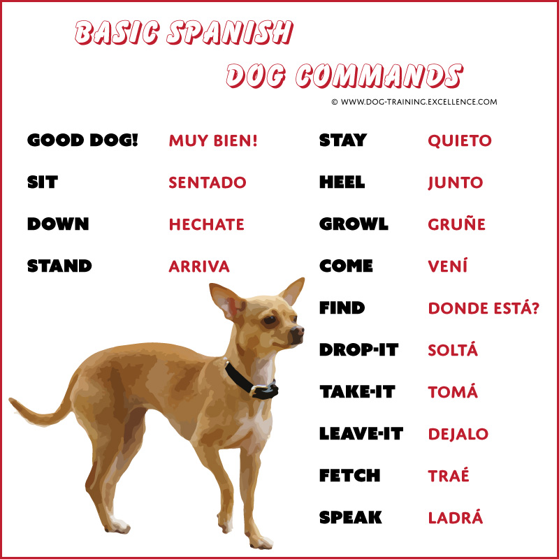 List of Spanish Dog Commands