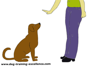 dog training hand signal for stay by DTE
