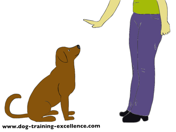 Dog Obedience Hand Signals Chart