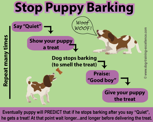 Stop puppy barking, teach your puppy to be quiet