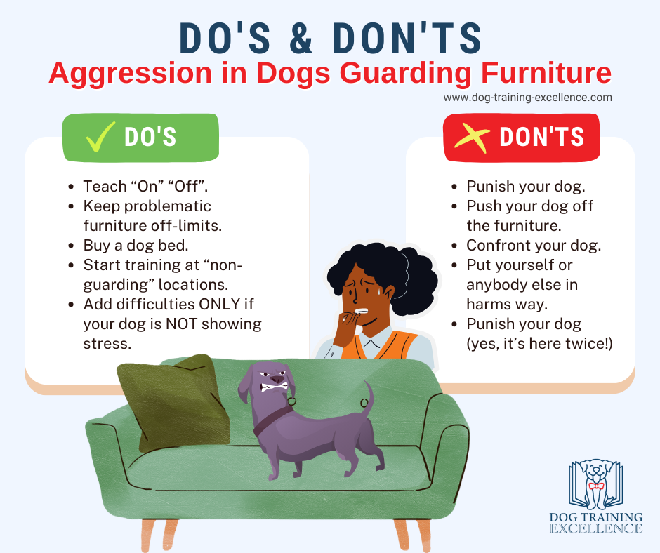 Aggression in dogs guarding furniture dos and donts NEW