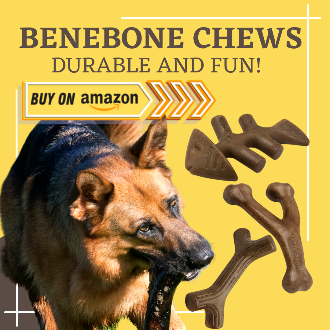 Benebone chews for German Shepherd dogs review
