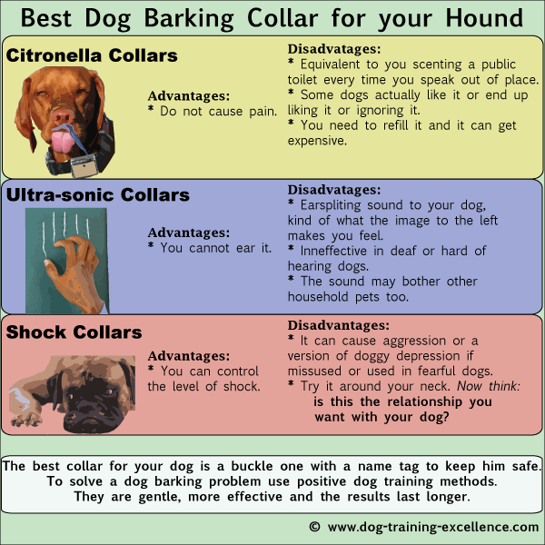 How to use a dog barking collar humanely