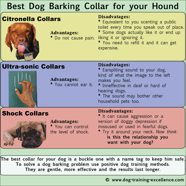 bark collar not effective