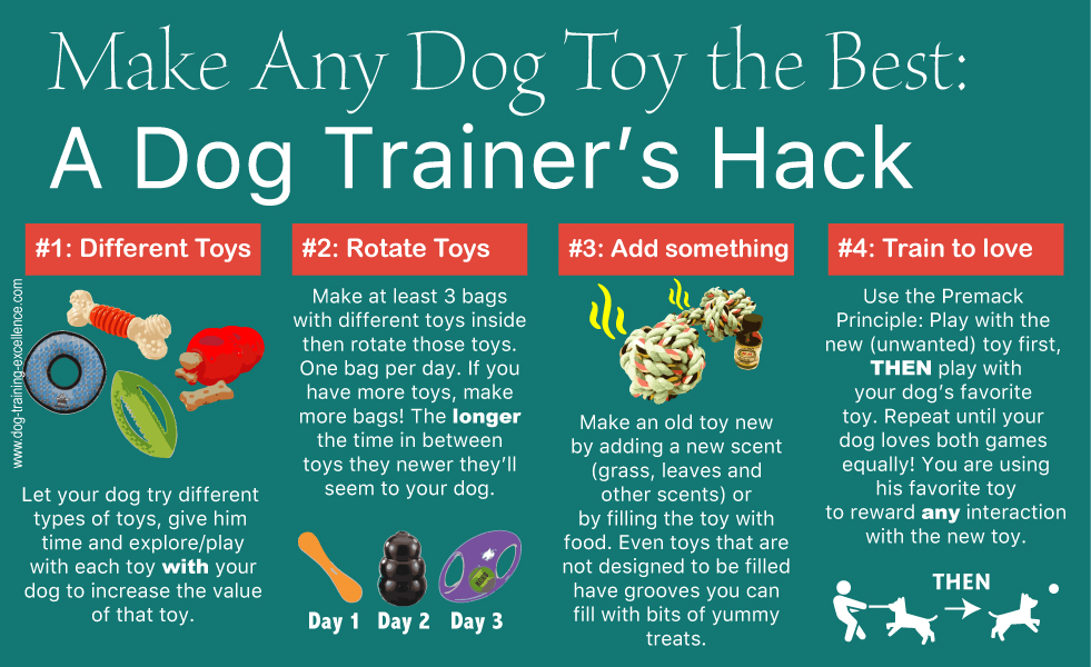 best dog toys, dog training, dog squeaky toys, dog chew toys, durable dog toys, indestructible dog toys