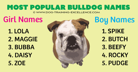 Bulldog names