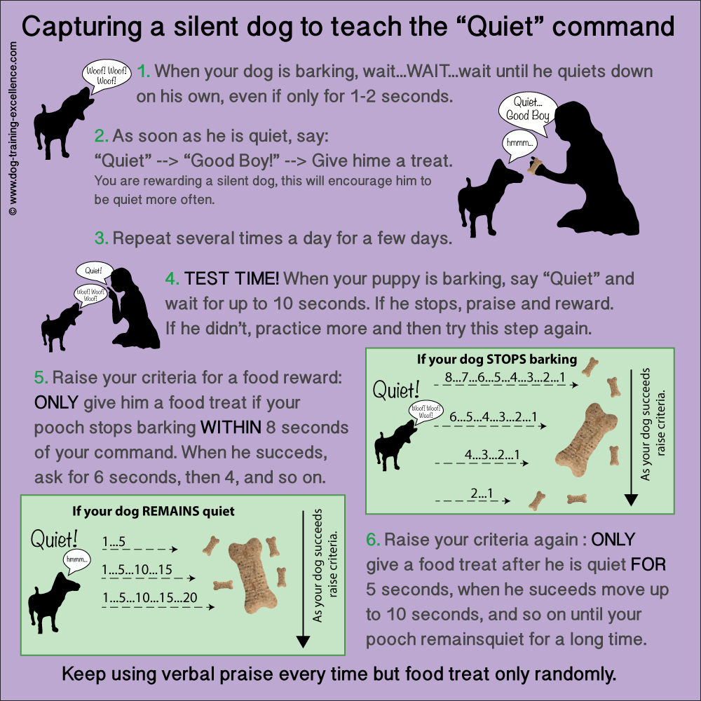 How to stop dog barking? Teach your dog the "Quiet" command.