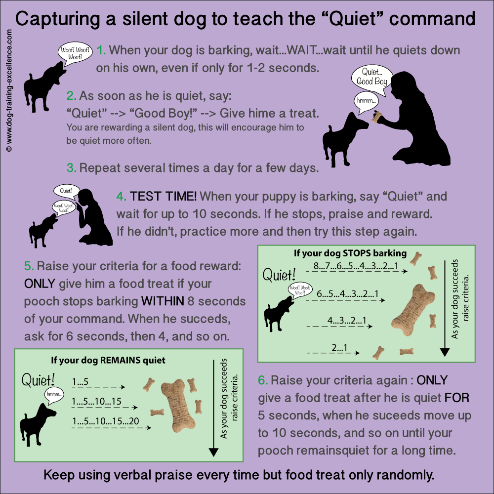 how to teach dog to be quiet on command, how to stop dog barking