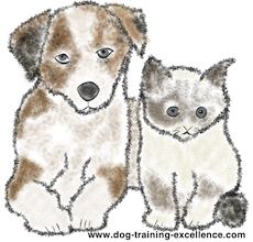 Cute cat and dog cartoon, difference between dogs and cats