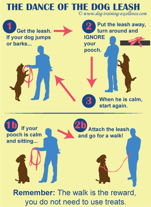 the dance of the dog leash train your dog not to jump to put the leash on