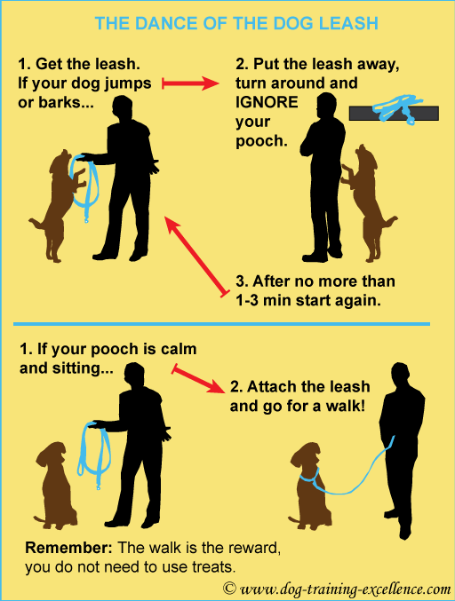 leash training your dog, dance of the dog leash, dog walking tips