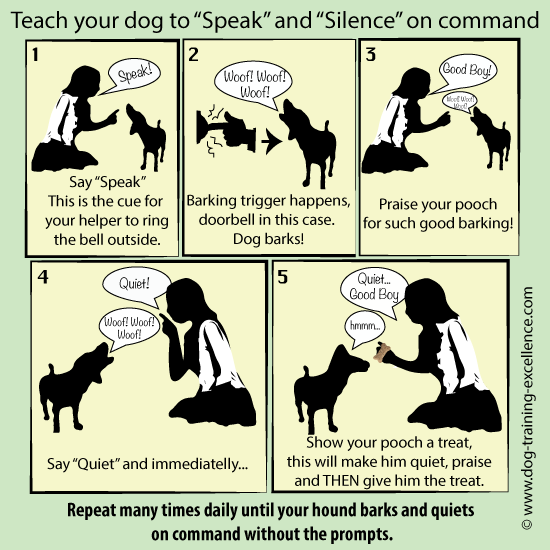 Quiet command for dogs 2025