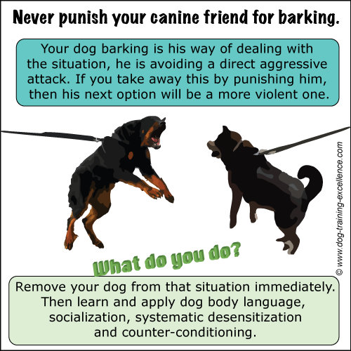 what to do when a dog barks at you