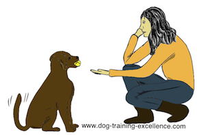dog training hand signal drop it by DTE
